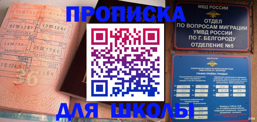 прописка иностранных граждан в Новосибирской области